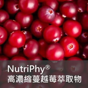 NutriPhy® 高濃縮蔓越莓萃取物