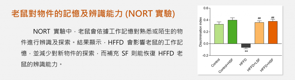 失智症-動物實驗-nort