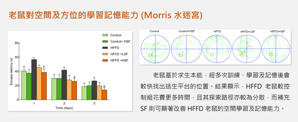 失智症-動物實驗-morris