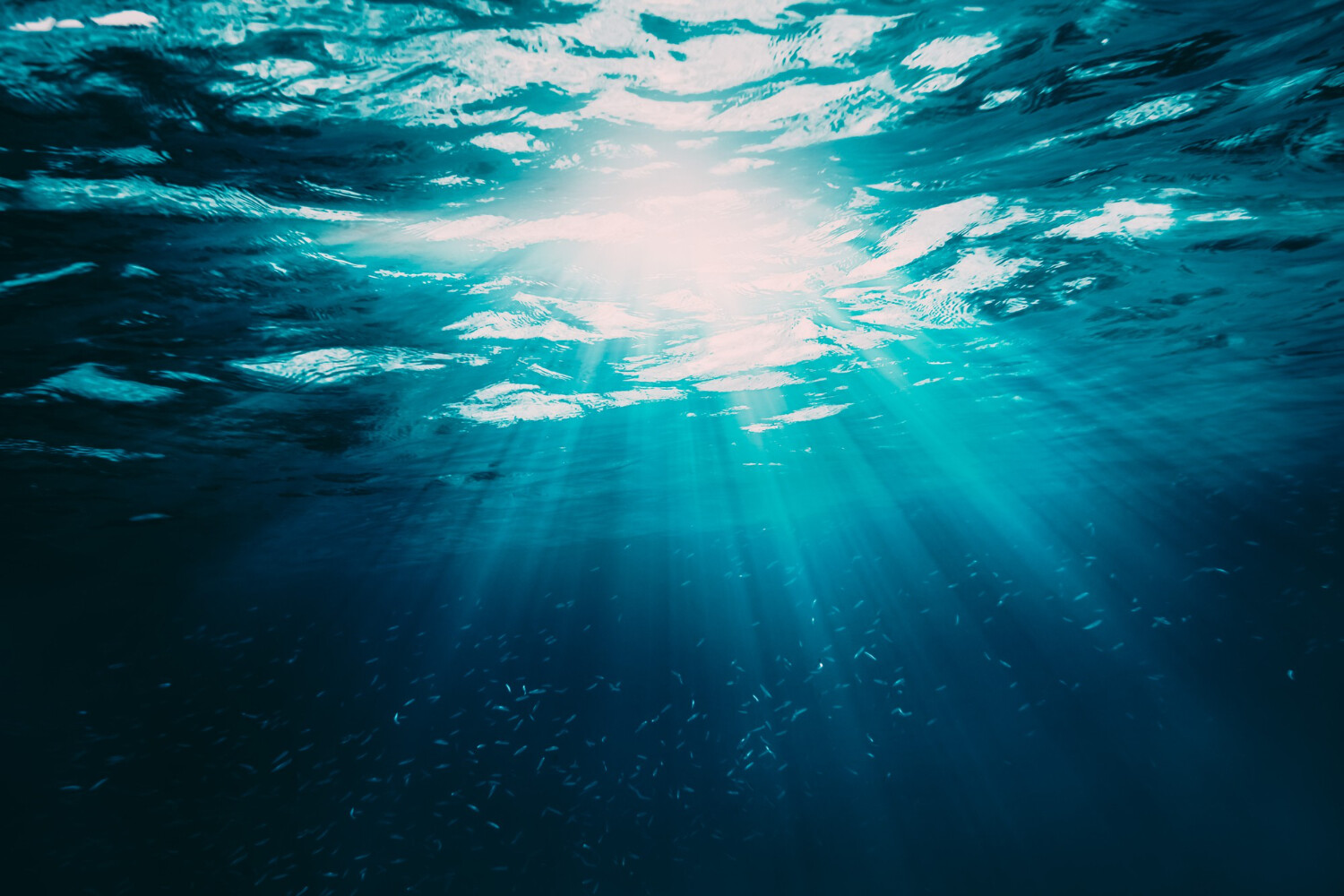 您目前正在瀏覽 新研究！深層海水有助預防骨質疏鬆