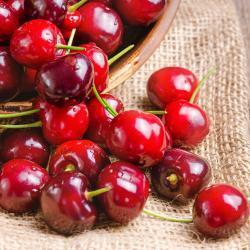 新品上架！CherryCraft® 歐洲酸櫻桃萃取物