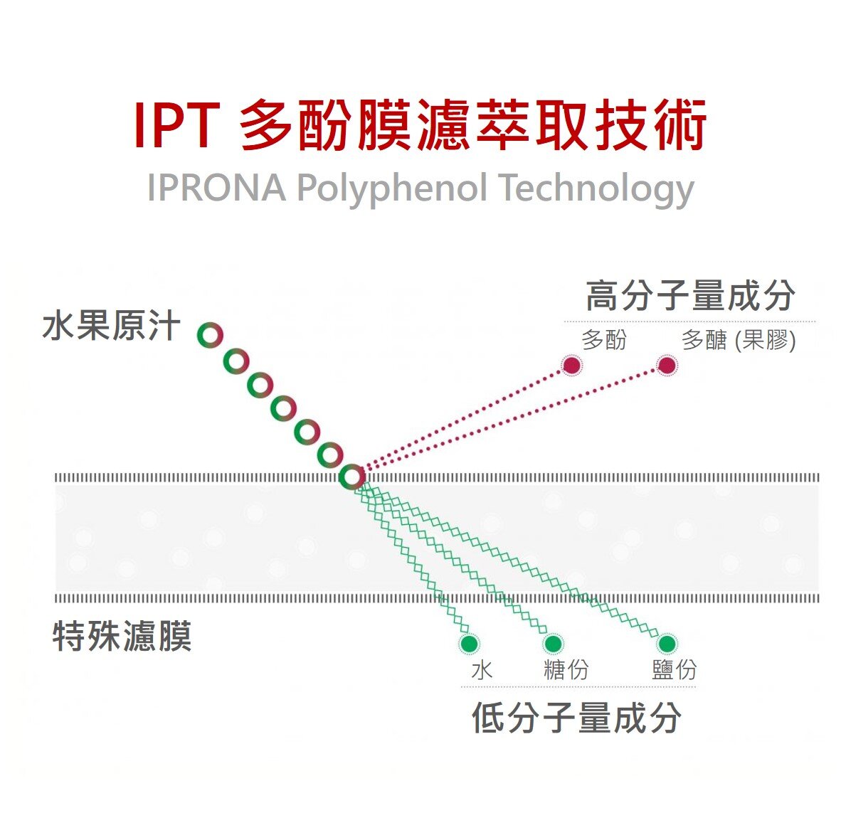 採用先進 IPT 多酚膜濾萃取技術所製造