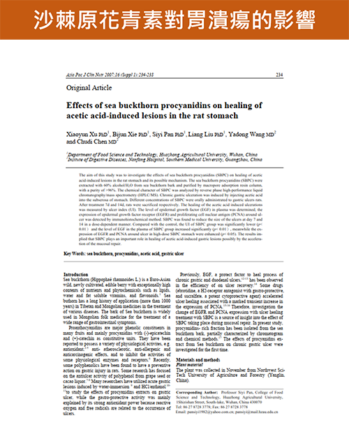 沙棘原花青素能夠促進胃潰瘍患部的組織修復