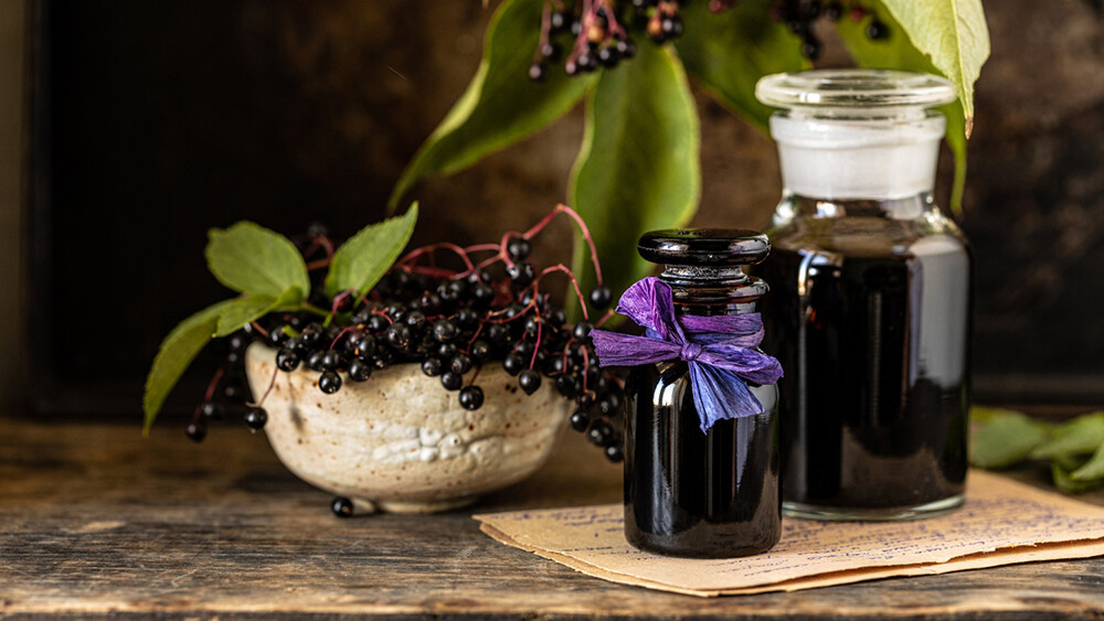 接骨木莓是歐美傳統用於舒緩感冒的天然藥草