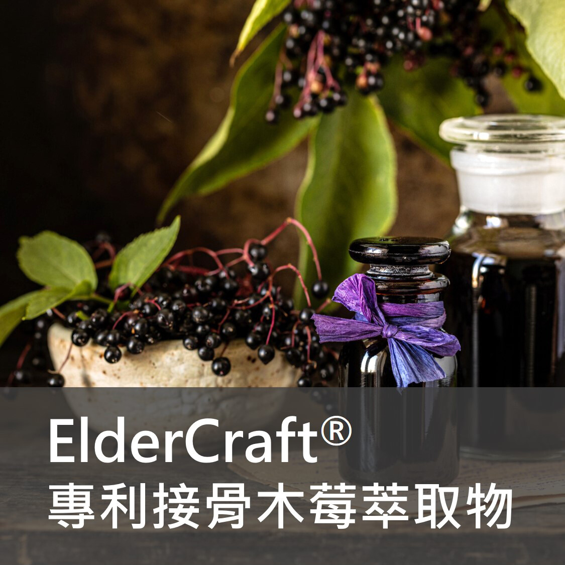 保健食品原料 - ElderCraft 專利 接骨木莓 萃取物