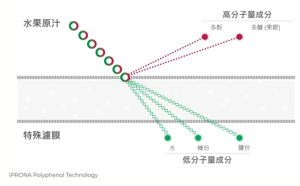 IPT 是一種完全物理性的多酚萃取技術,僅透過一層特殊設計的薄膜,全程無使用有機溶劑