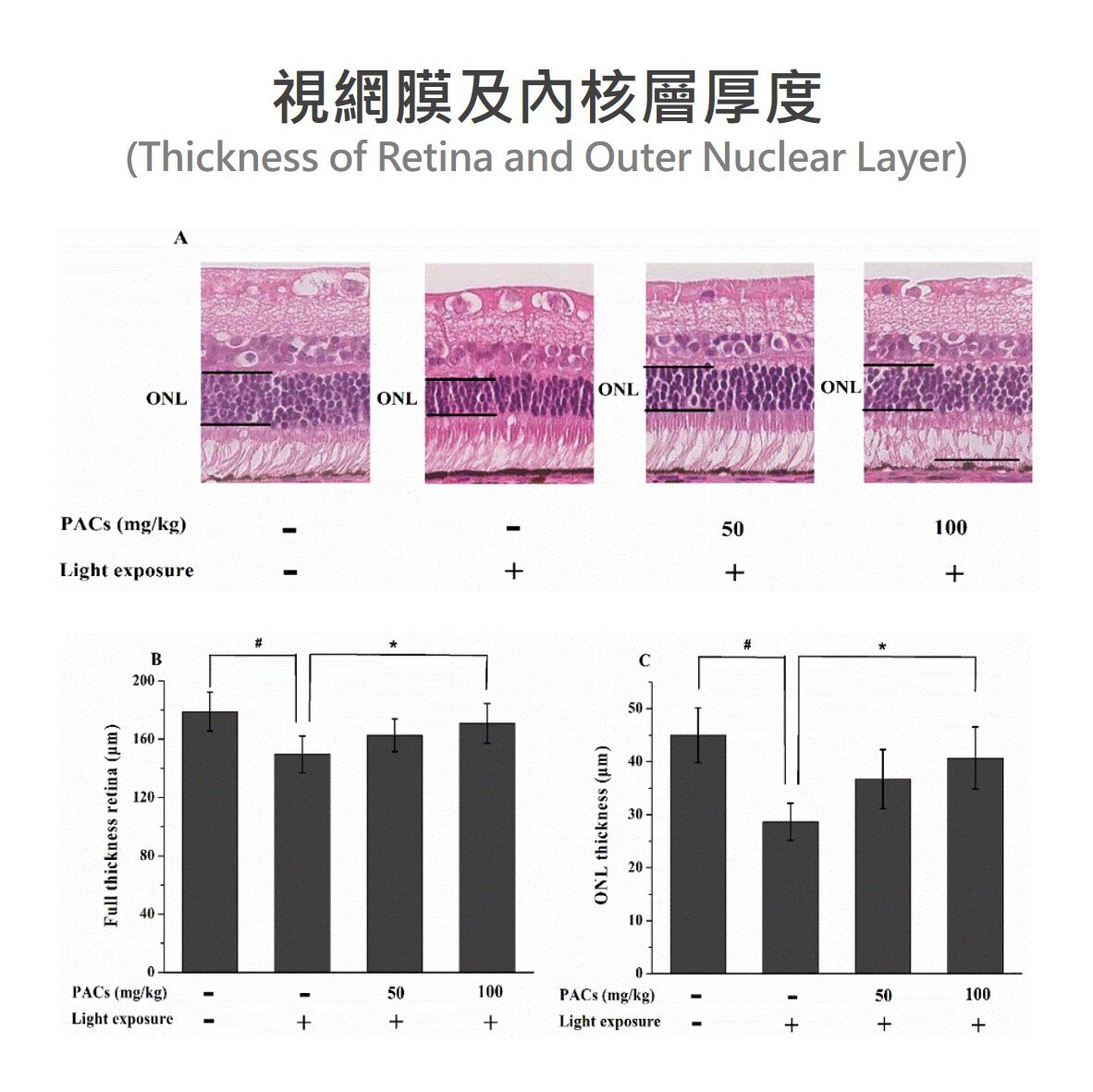 沙棘 原花青素有助於預防可見光對視網膜的刺激，維持視網膜結構