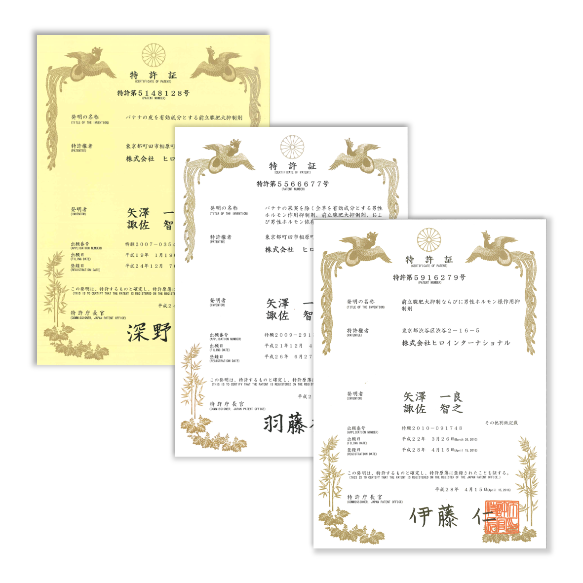 Banatin 獲得多項日本功效專利特許，有助於維持攝護腺及毛髮健康