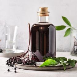 代號 ElderGut｜接骨木莓的益生元潛力