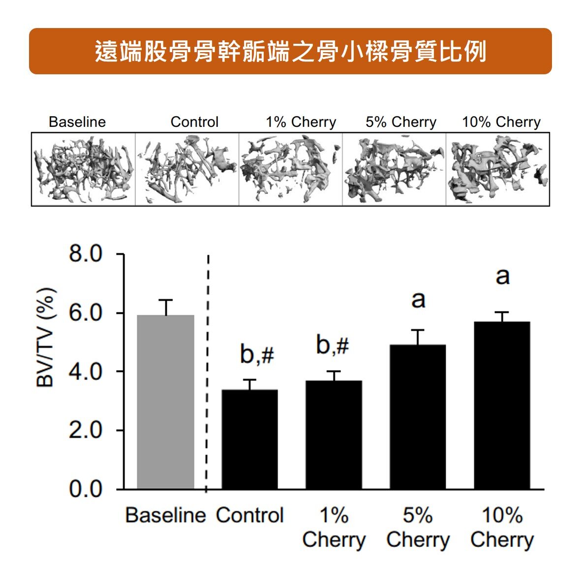 補充 酸櫻桃 能夠延緩老化對股骨骨質流失的影響