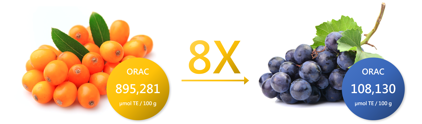 沙棘 萃取物 OPC 的 抗氧化 力為葡萄籽 OPC 的8倍以上
