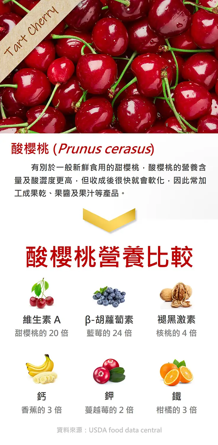 酸櫻桃 含有 14 種維生素、9 種礦物質、花青素及褪黑激素等天然營養。