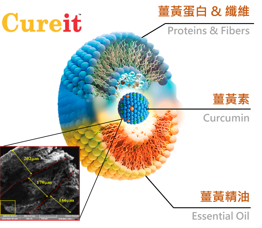 Cureit 薑黃萃取物採用 PNS 專利三明治夾心技術所製造