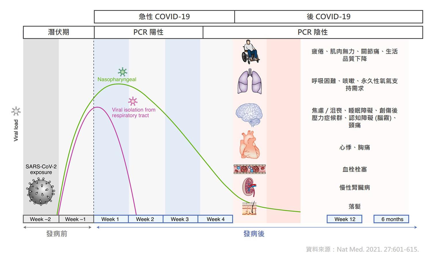 新冠肺炎可能留下長期後遺症，包含呼吸困難、疲倦、睡眠及認知障礙等多重影響。