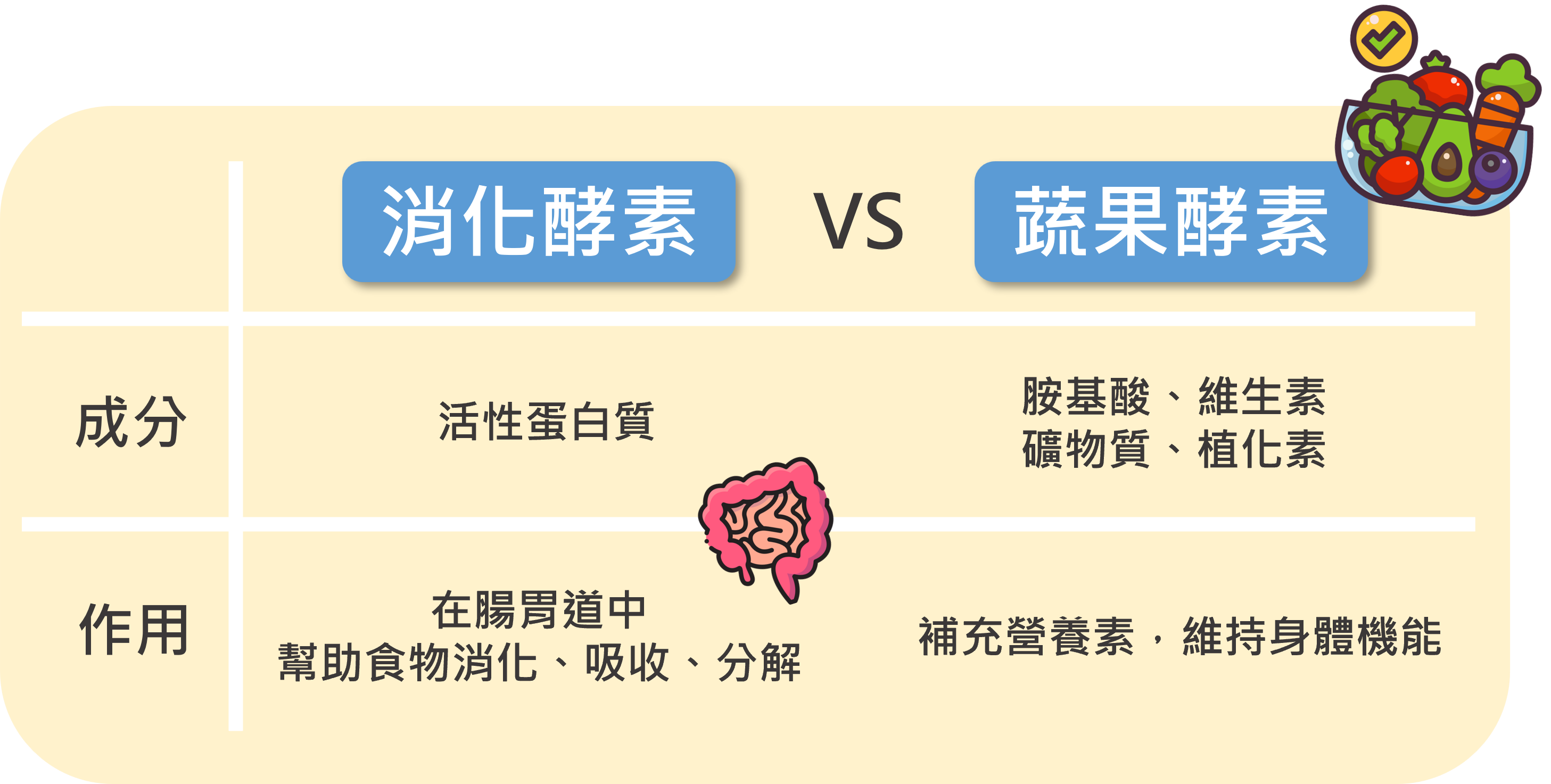 消化酵素與蔬果酵素的比較