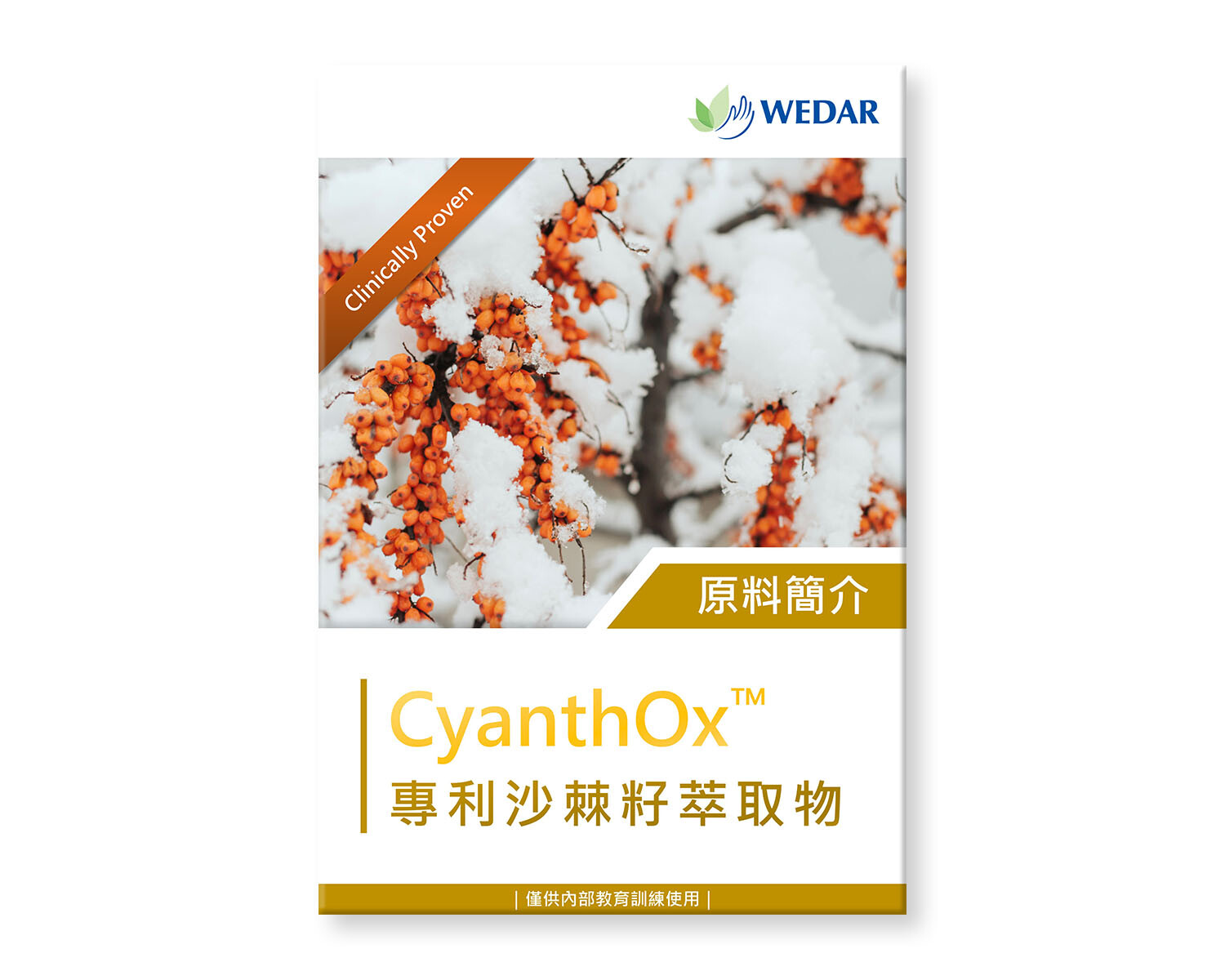 您目前正在瀏覽 CyanthOx™ 專利沙棘籽萃取物