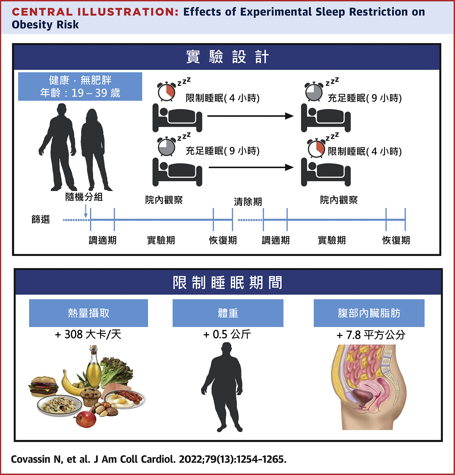 睡得少反而吃更多，而且更容易在內臟囤積