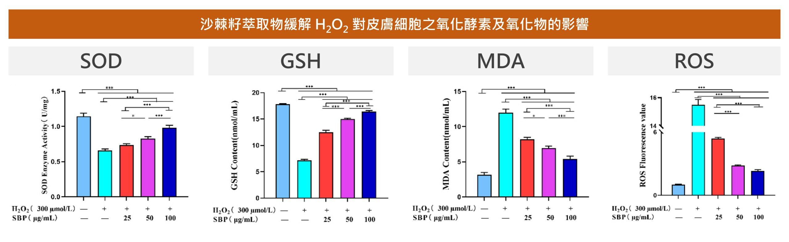 沙棘籽萃取物能夠維持細胞內氧化壓力平衡