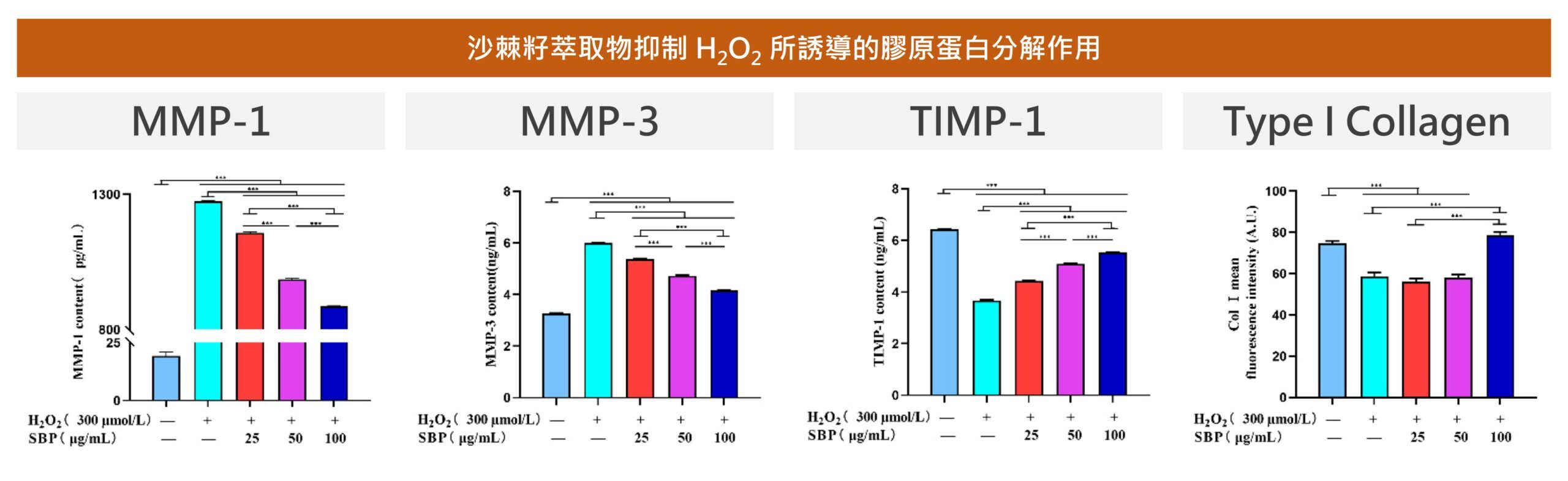 沙棘籽萃取物能夠減少氧化壓力造成的膠原蛋白流失