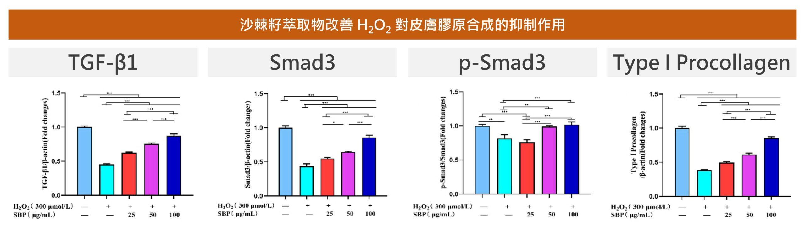 沙棘籽萃取物能夠維持膠原蛋白的合成作用