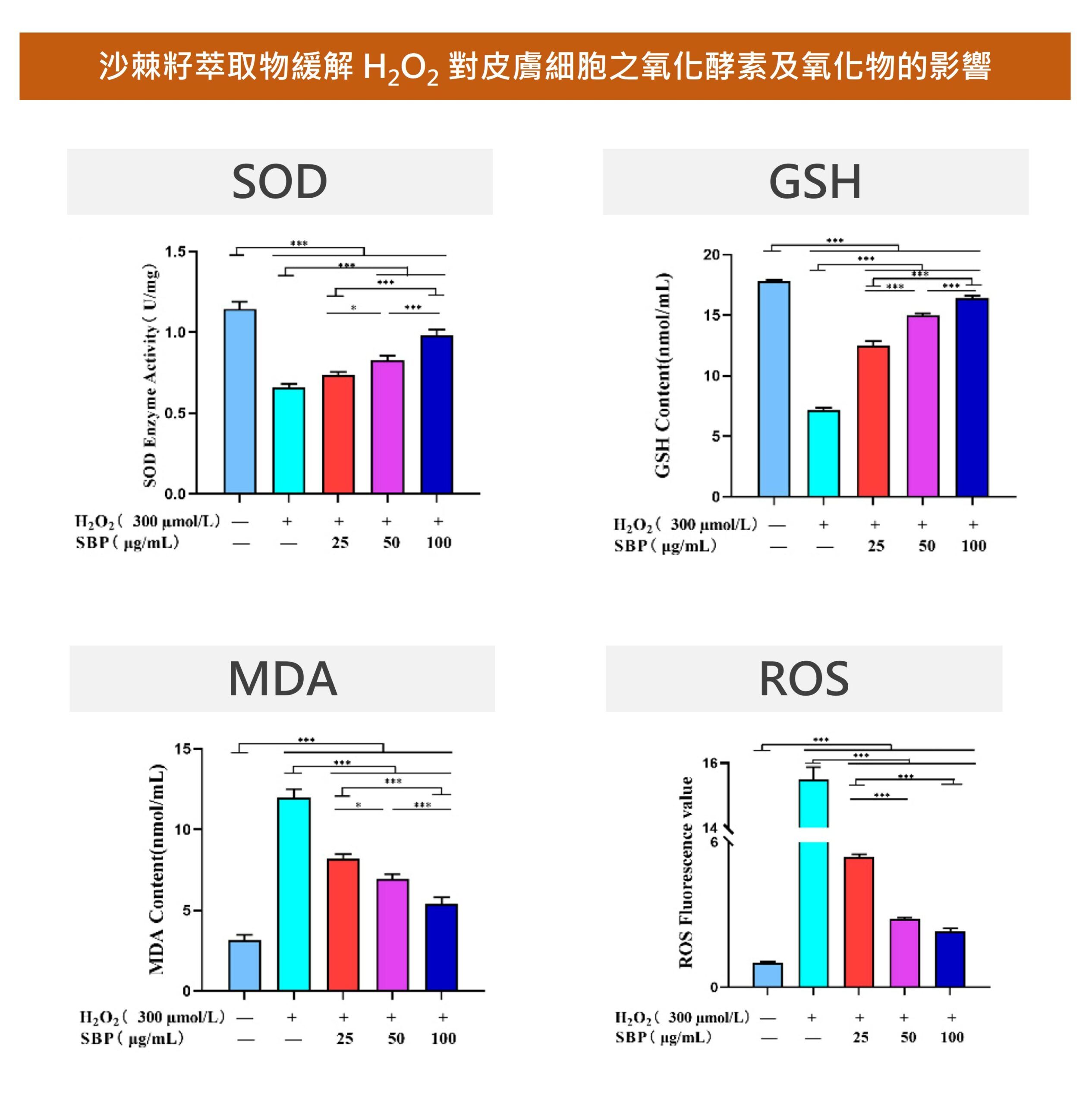 沙棘籽萃取物能夠維持細胞內氧化壓力平衡
