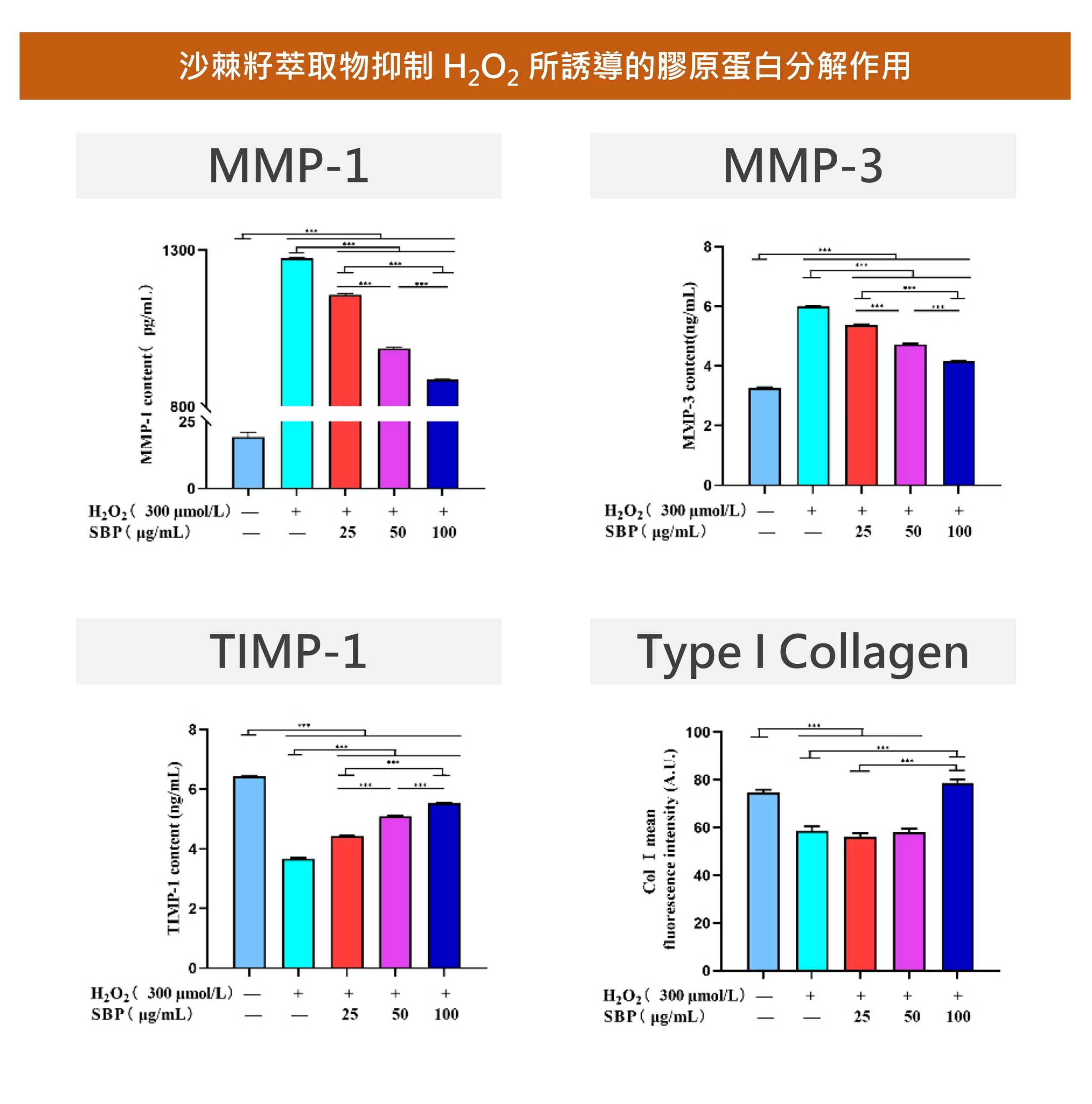 沙棘籽萃取物能夠減少氧化壓力造成的膠原蛋白流失