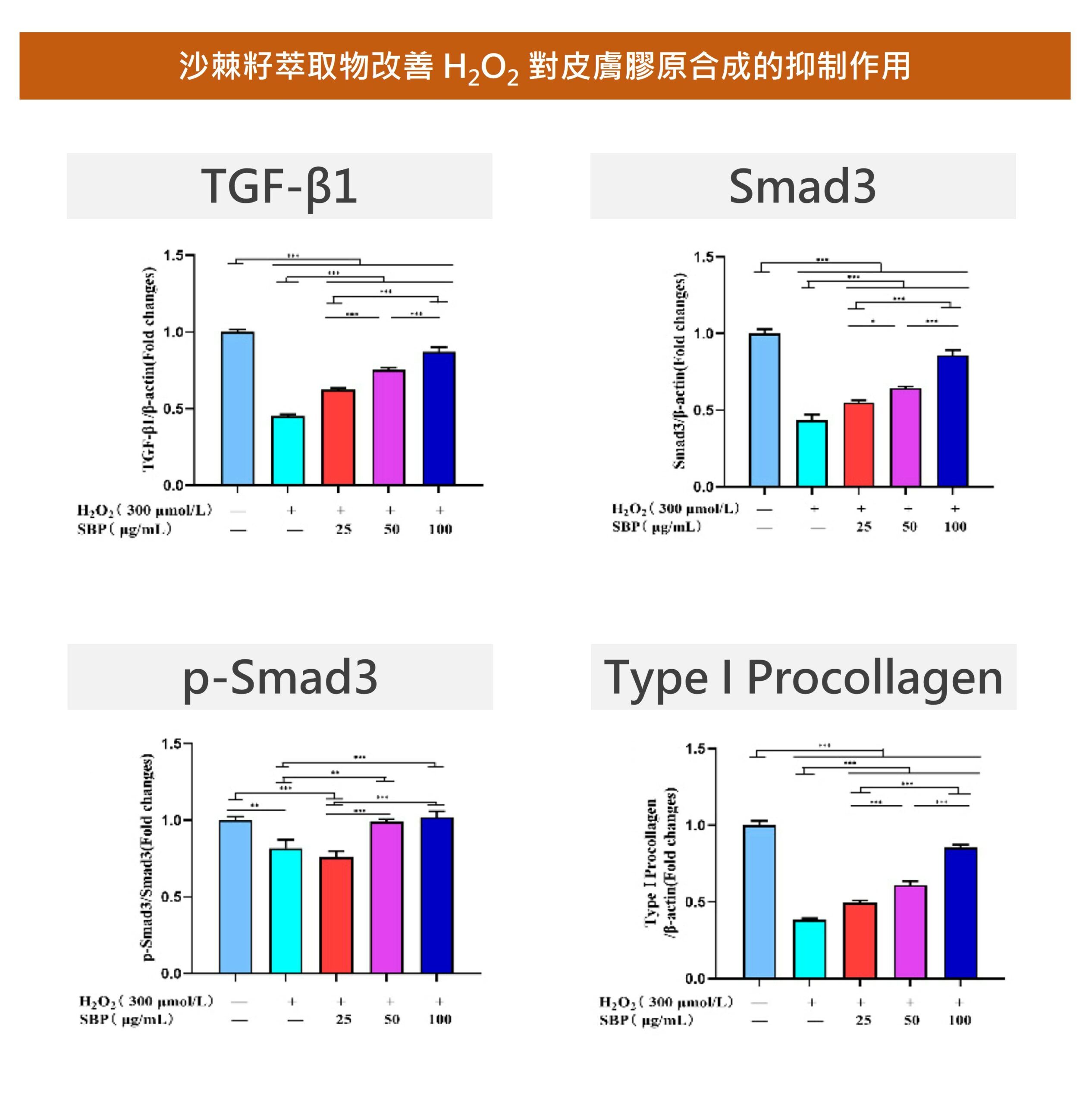 沙棘籽萃取物能夠維持膠原蛋白的合成作用
