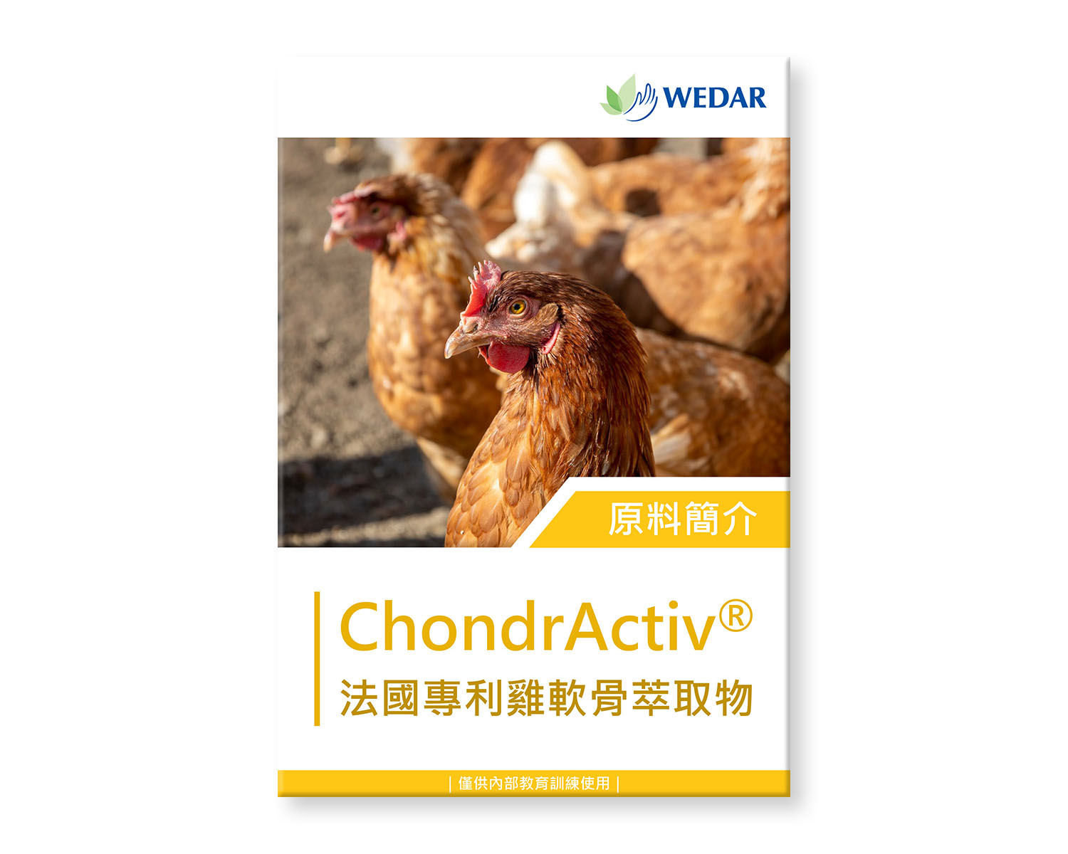 您目前正在瀏覽 Chondractiv® 法國專利雞軟骨萃取物