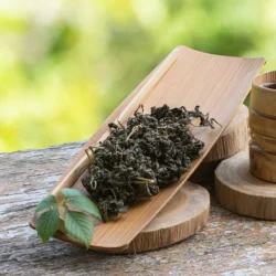漢方減肥茶，解析絞股藍的燃脂妙用