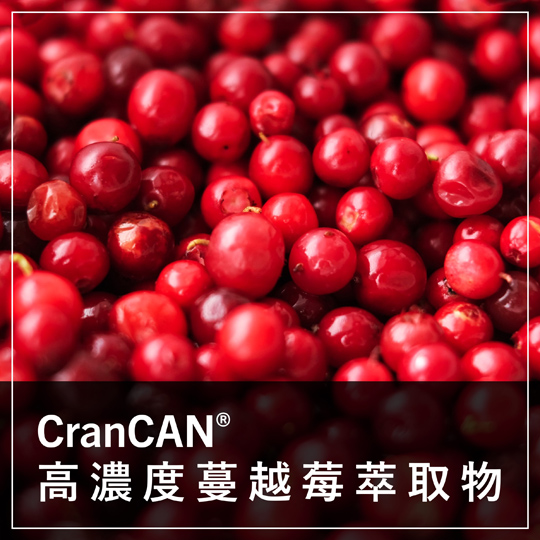 CranCAN® 高濃縮蔓越莓萃取物