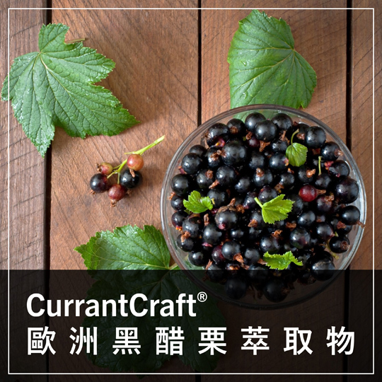 保健食品原料 - 保健原料 - CURRANCRAFT - 黑醋栗萃取物 - BLACKCURRANT - EXTRACT
