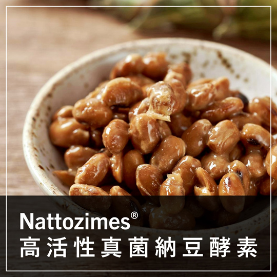 保健食品原料 - 保健原料 - NATTOZIMES- 真菌納豆酵素 - 納豆激酶 - NATTOKINASE