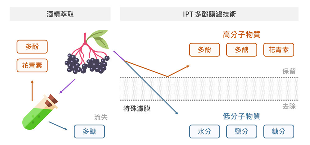 IPT (Iprona Polyphenol Technology) 膜濾淨萃技術能夠完整保留莓果的多酚、多醣，全程不使用有機溶劑。