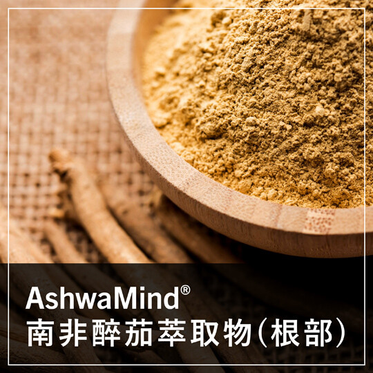 AshwaMind® 南非醉茄萃取物