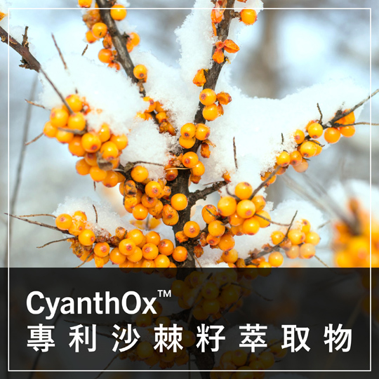 CyanthOx™ 專利沙棘籽萃取物