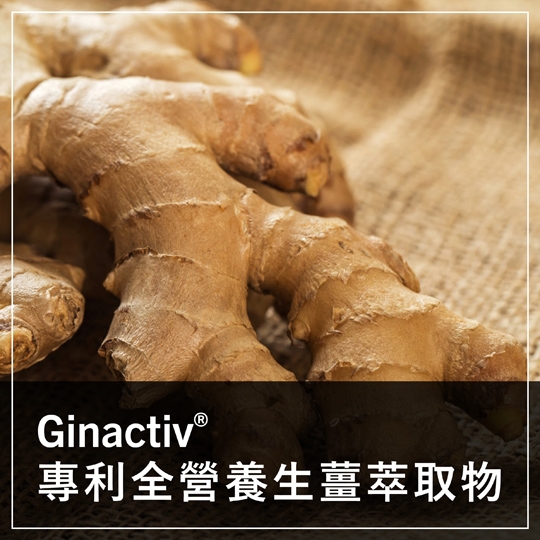 保健食品原料 - 保健原料 - GINACTIV - 生薑萃取物 - GINGER - EXTRACT