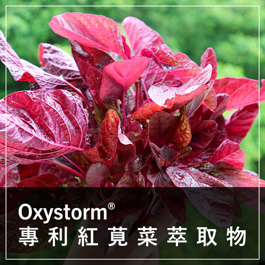 Oxystorm® 專利紅莧菜萃取物