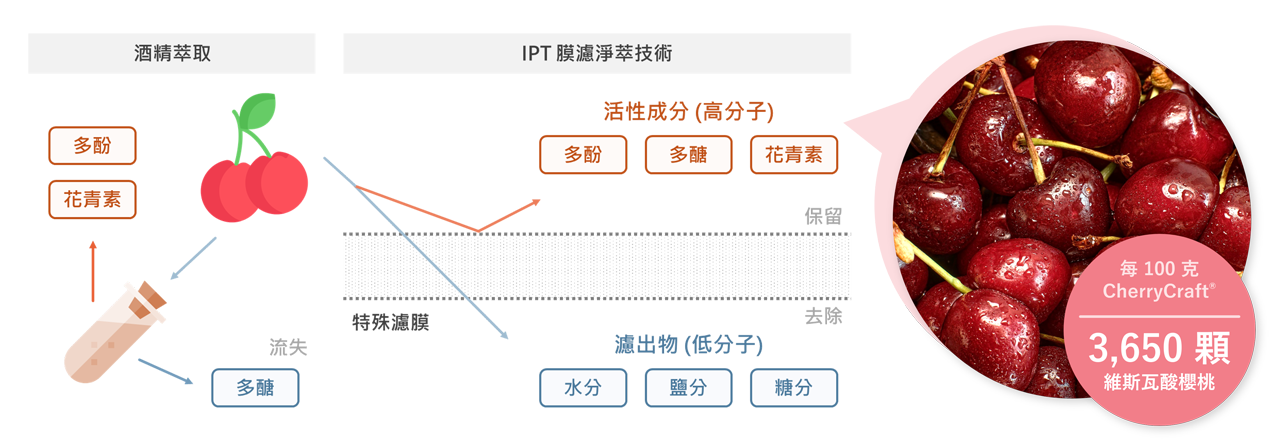 CherryCraft 維斯瓦酸櫻桃萃取物，採用 IPT 膜濾淨萃技術，能夠完整保留酸櫻桃的活性成分與天然纖維，全程無使用有機溶劑。