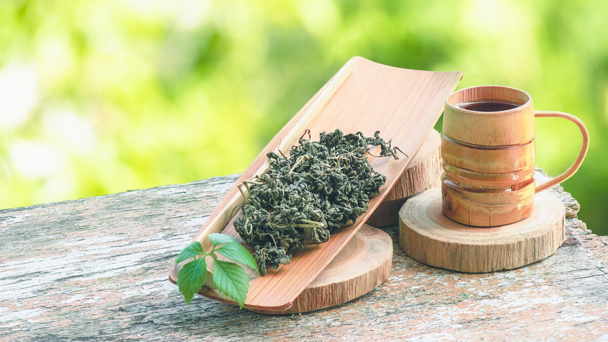 絞股藍是一種傳統作為養生茶飲的草本植物，具有降血糖、降血脂、減少體脂肪及減重效果，於近年也廣泛被用於 減肥茶 。