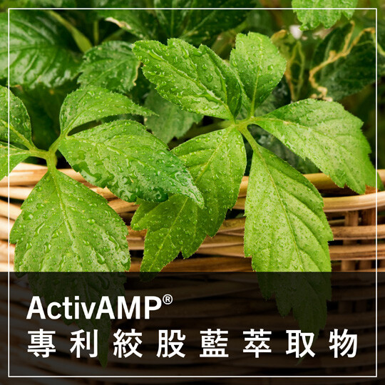 ActivAMP® 專利絞股藍萃取物